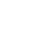 RaidVM